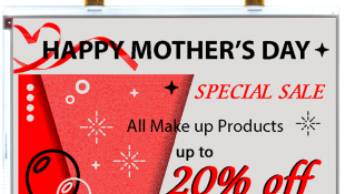 12.2″ E ink Display – Spectra (E4)