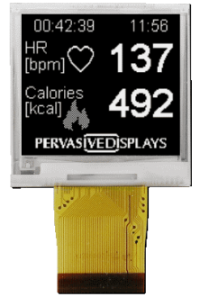 1.9 inch E ink Display by Pervasive